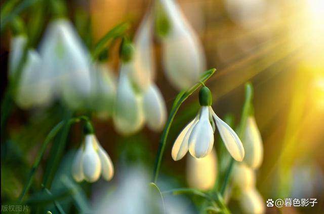 图片关键词 图片关键词