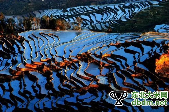 图片关键词 图片关键词