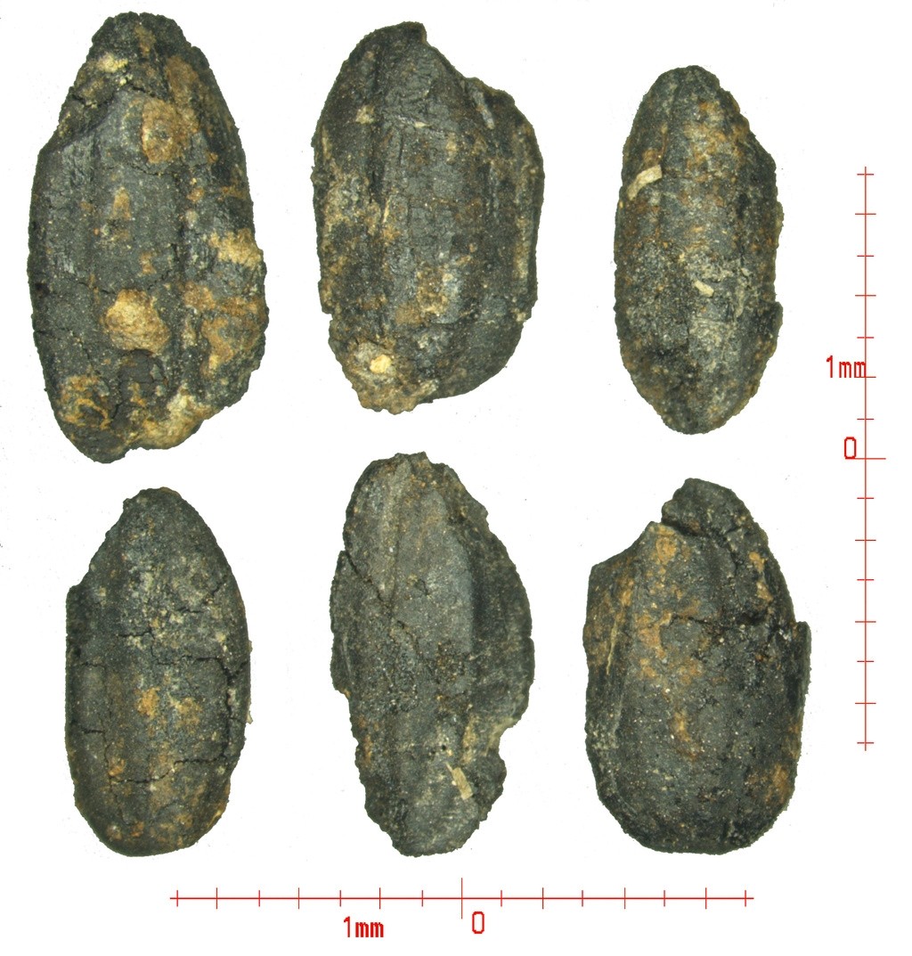 图片关键词 图片关键词