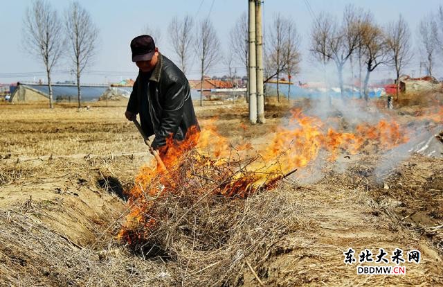 图片关键词 图片关键词