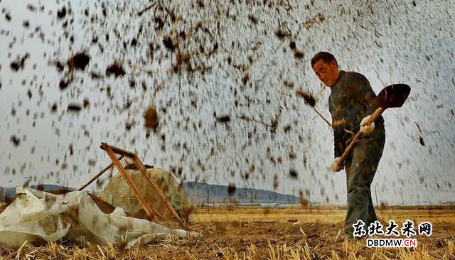 图片关键词 图片关键词