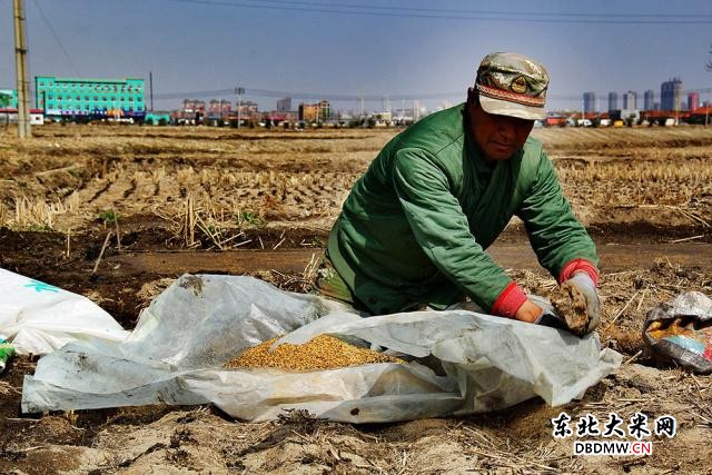 图片关键词 图片关键词