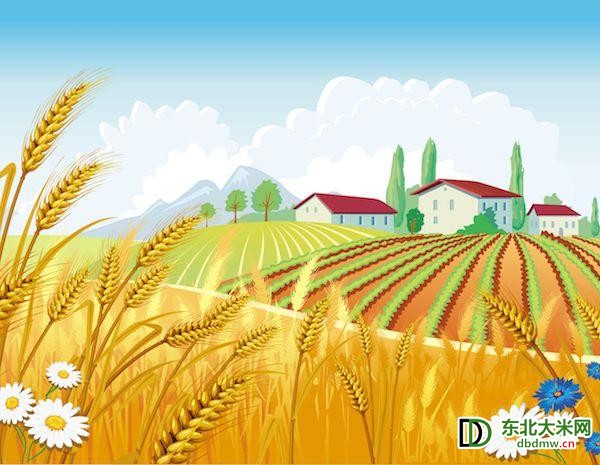 图片关键词 图片关键词