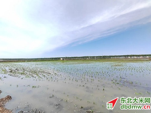 图片关键词 图片关键词