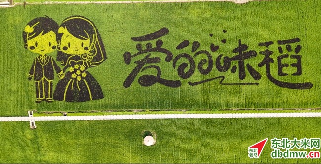 图片关键词 图片关键词