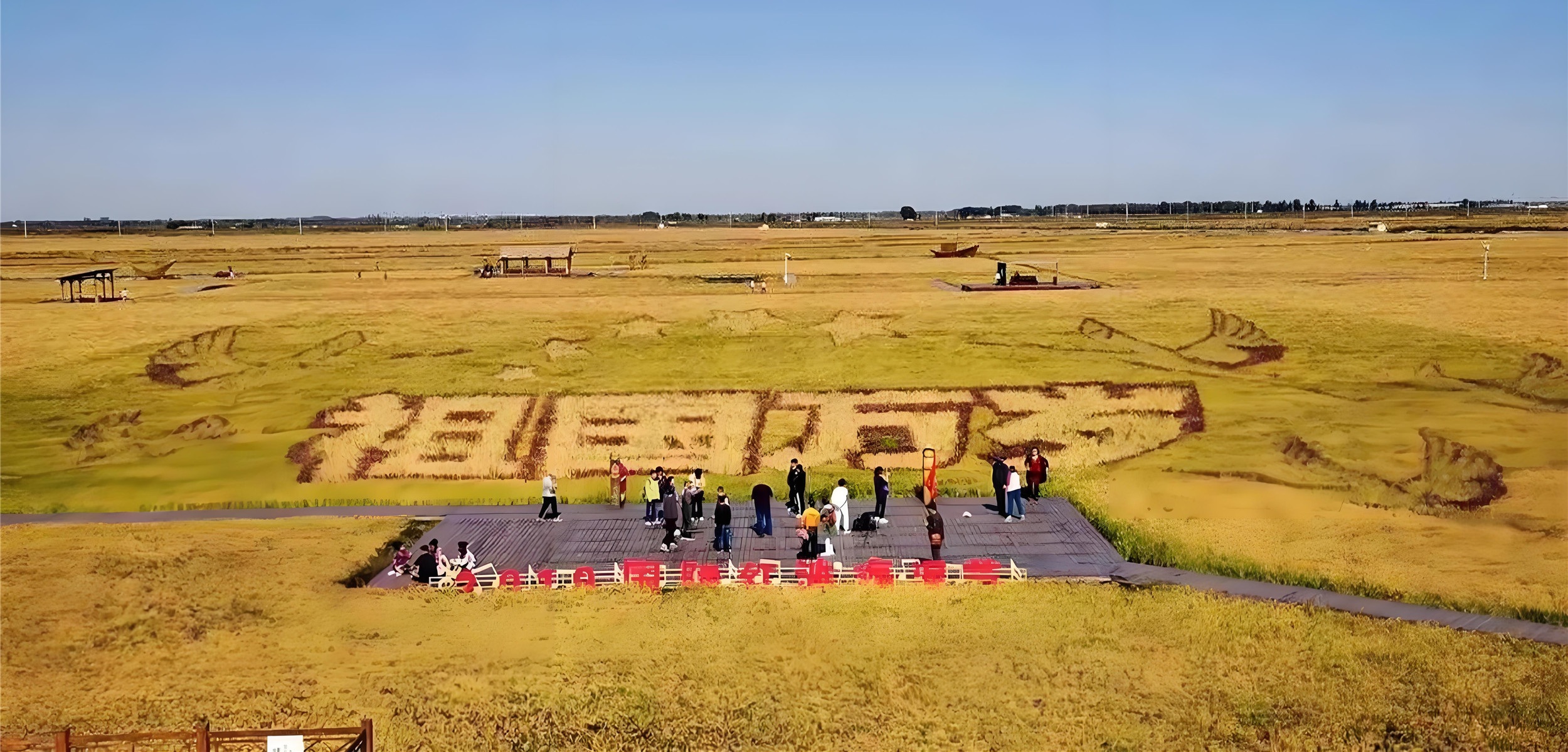 金秋田野 丰收时节