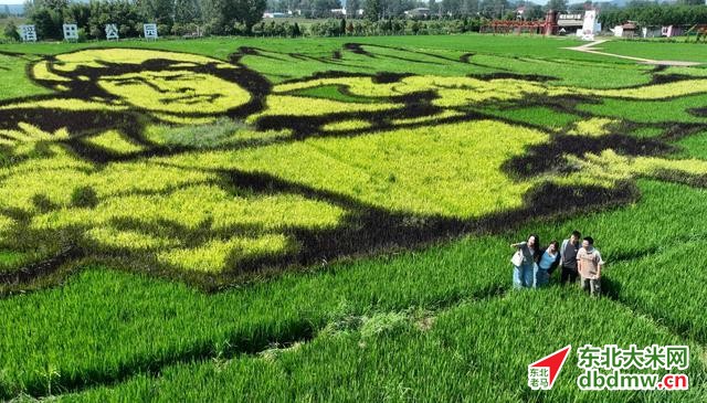 图片关键词 图片关键词