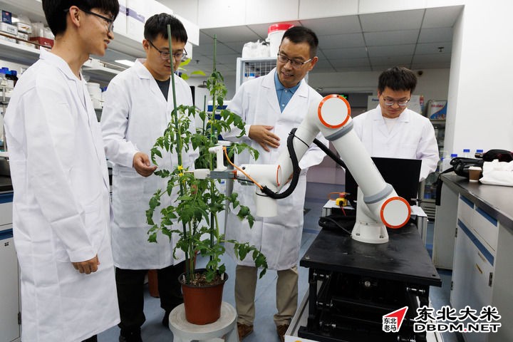 图片关键词 图片关键词