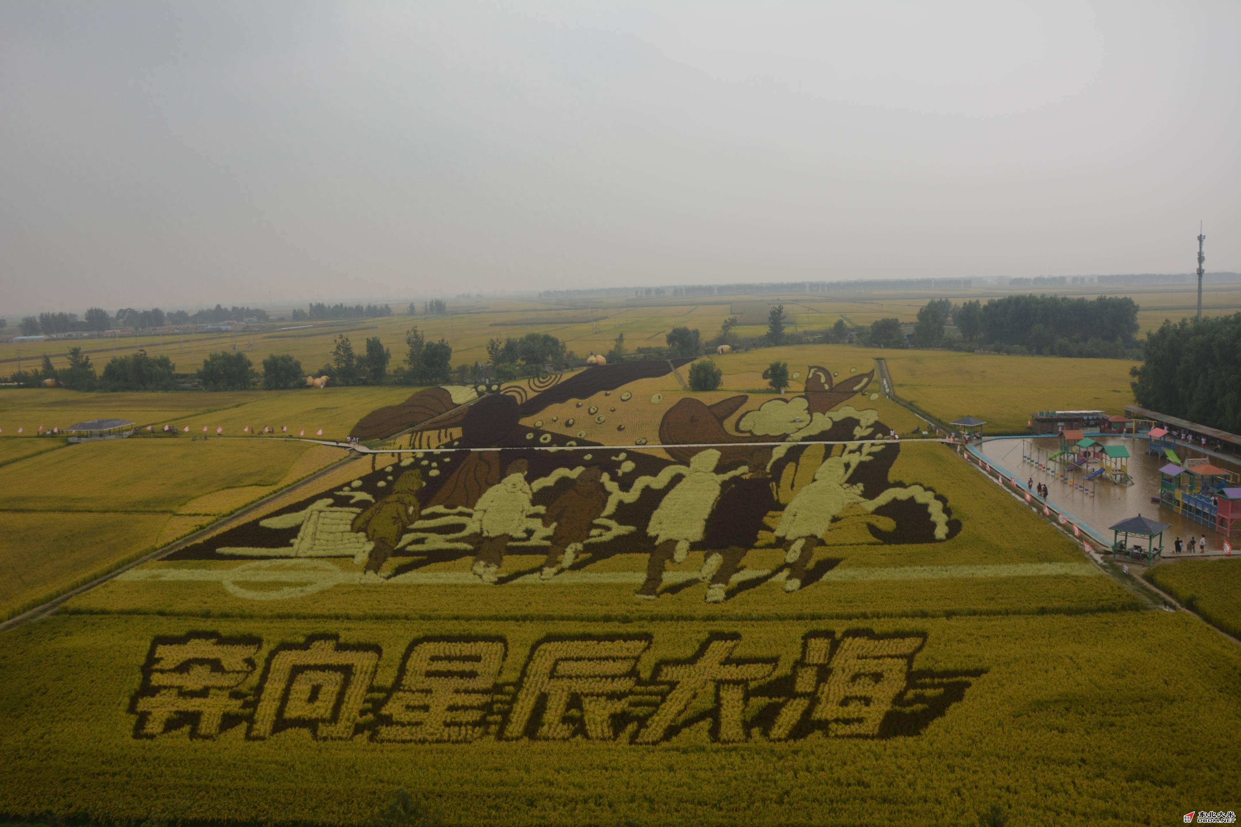 图片关键词 图片关键词