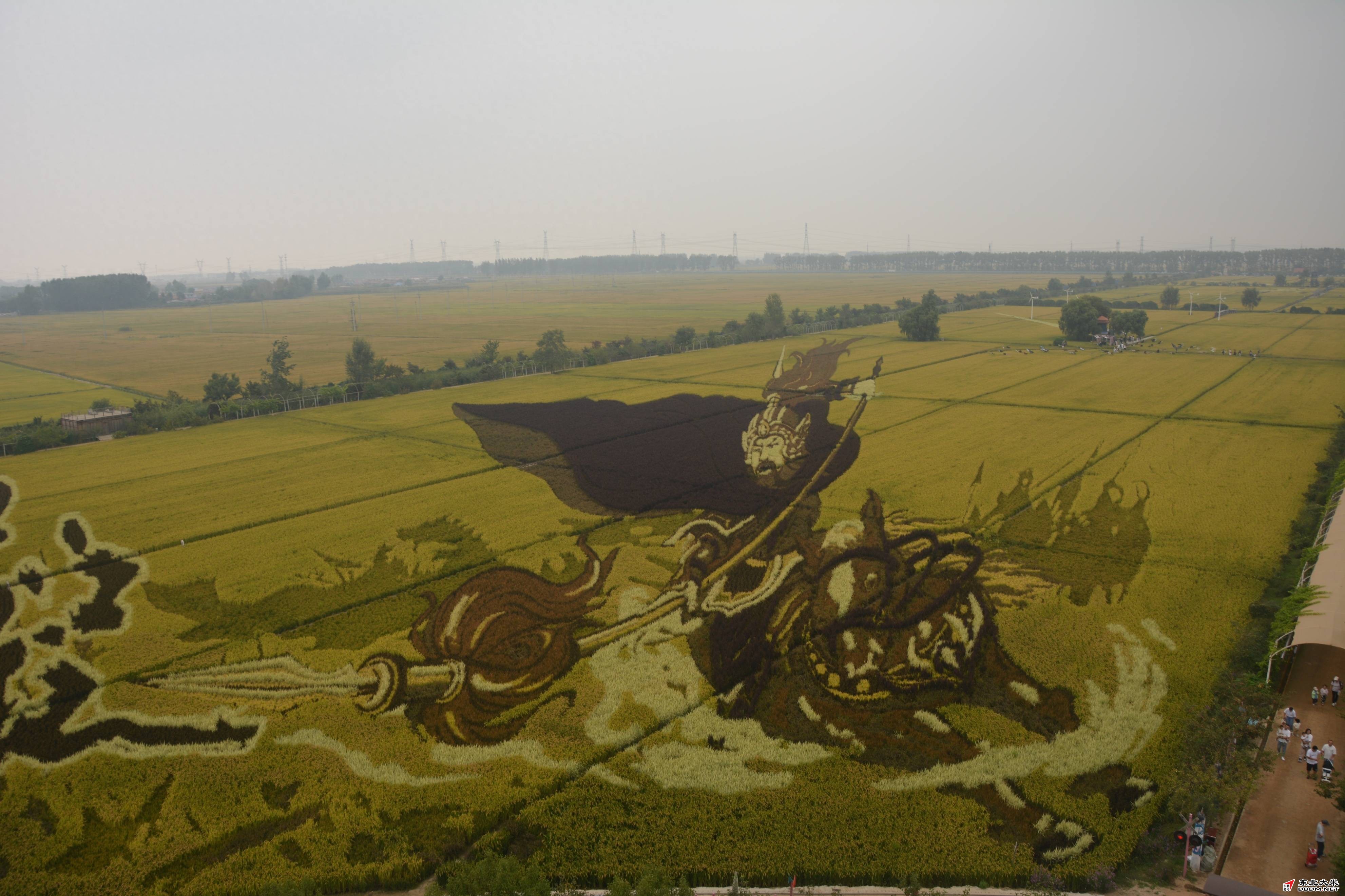 图片关键词 图片关键词