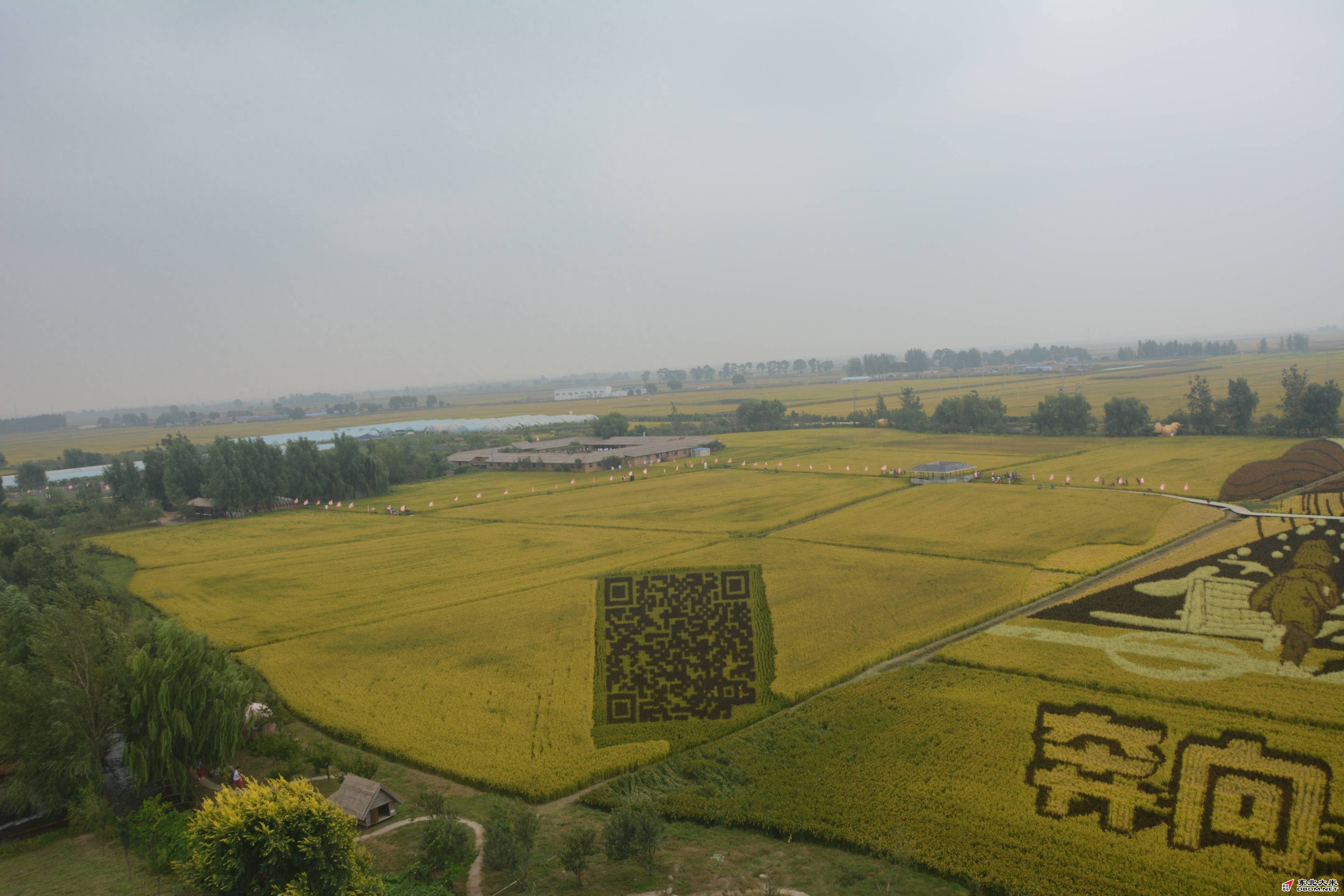 图片关键词 图片关键词