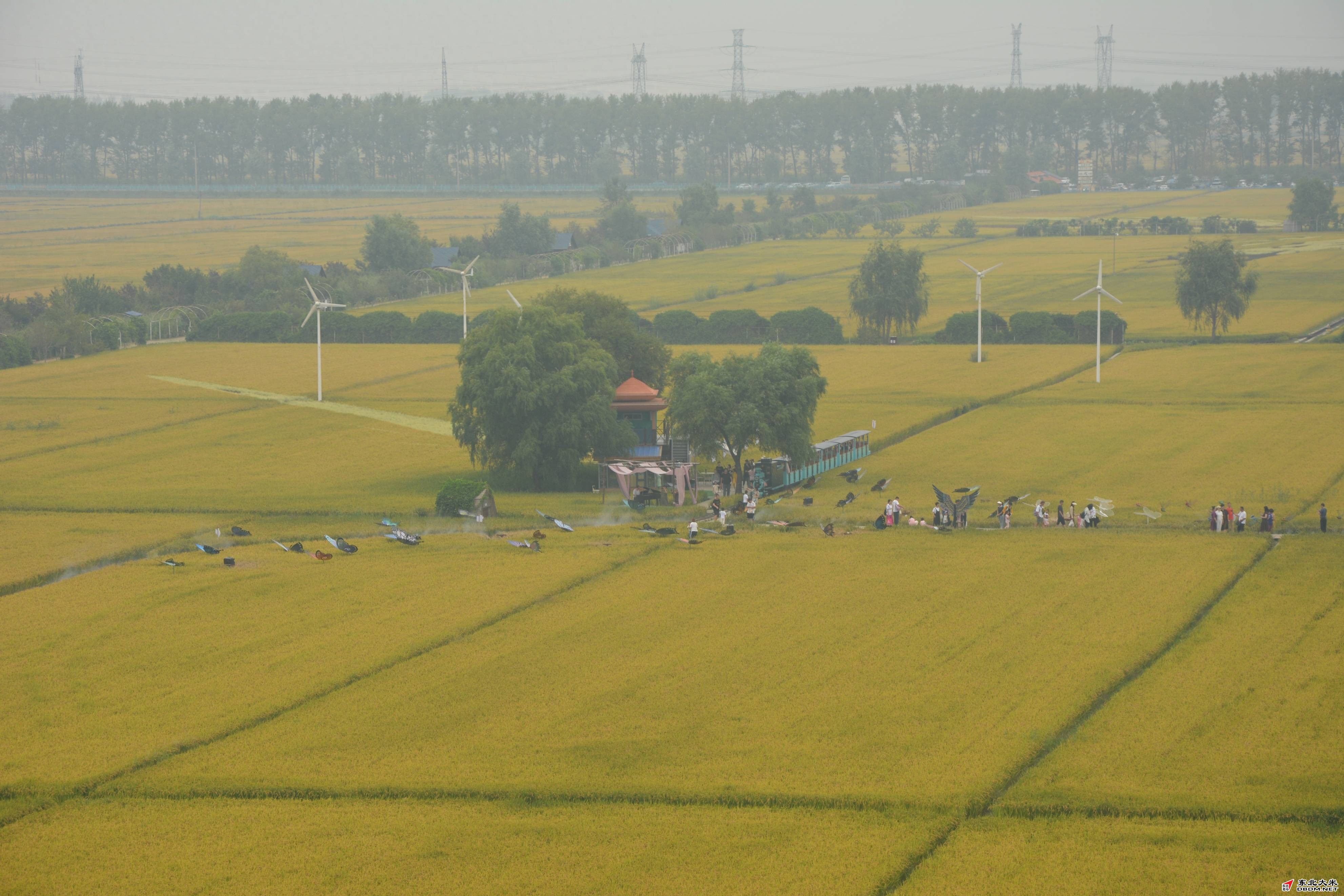 图片关键词 图片关键词