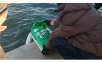 大学声丨海边“放生大米”：当善念沦为无常识的执念