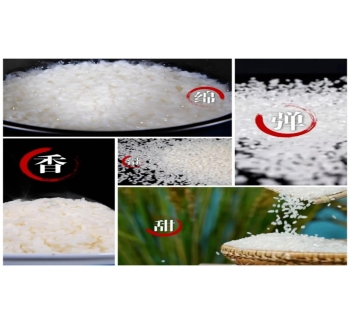 吉林20余家优质企业携吉米金穗亮相京城