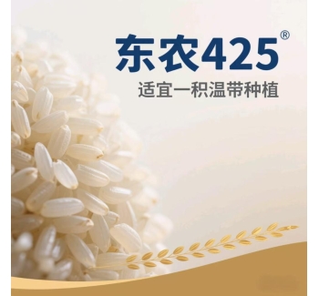 黑龙江五常大米东农425介绍