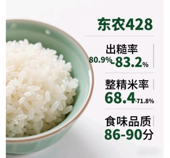 黑龙江五常大米东农428的介绍