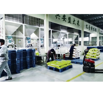 品牌价值310.36亿元！兴安盟大米是这样做到的