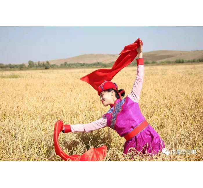 兴安盟大米 从&ldquo;好米&rdquo;到&ldquo;名米&rdquo;