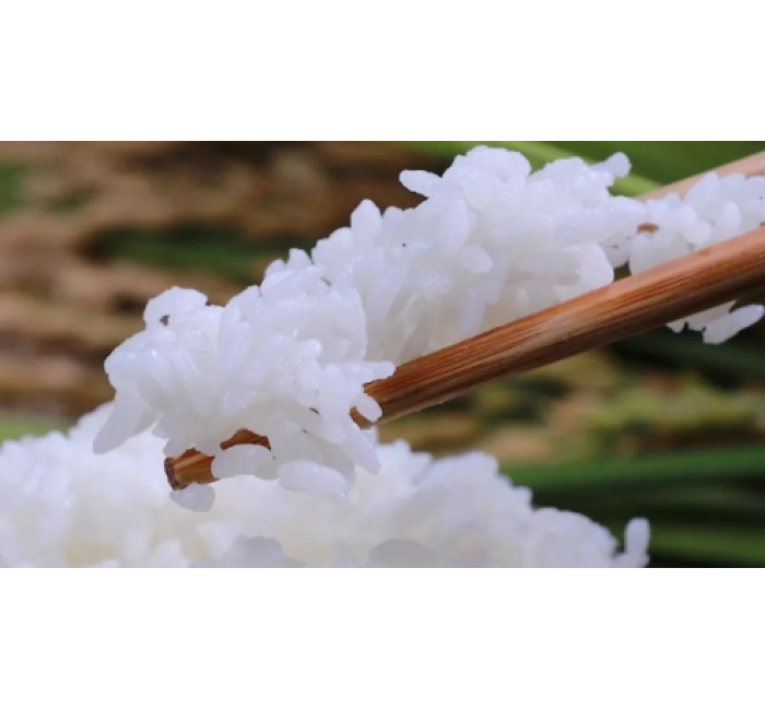 内蒙古兴安盟大米，飘香在北纬46度的中华民族共同体故事