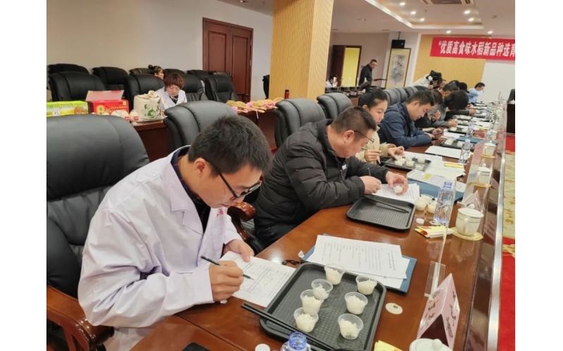 稻米品评会 辽宁西丰米更香