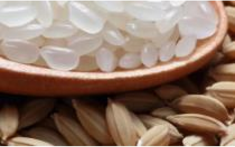 4月16日新报价：东北地区稻米市场价格动态！