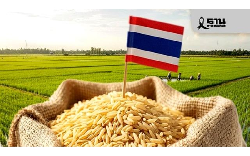中国开启泰国大米首批采购10万吨，商业部催促出口商提速，力争节前交货