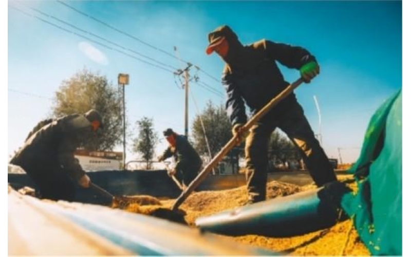 以高品质产业化叫响&ldquo;铁岭大米&rdquo;品牌