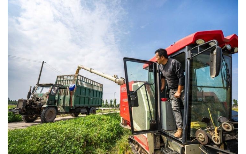 端牢中国饭碗 共护大国粮仓&mdash;&mdash;写在第45个世界粮食日到来之际