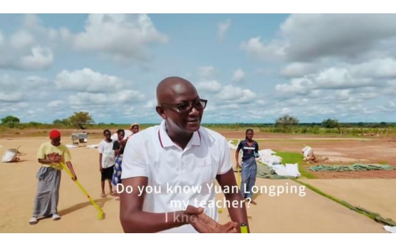 托博主带大米的非洲小伙是他！长沙专家团队在他的农场实现杂交水稻在冈比亚最高产量