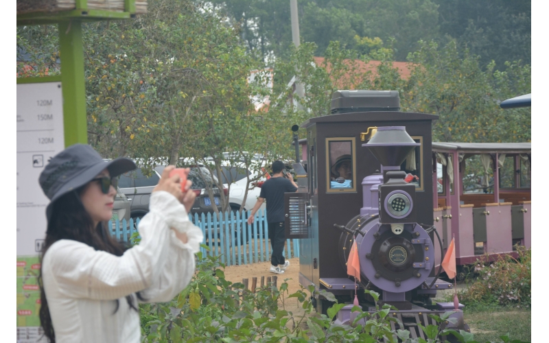 寻美沈北 - 稻梦空间：东北生态唯美特色小镇