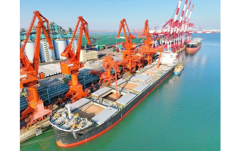 21小时接卸68250吨小麦！山东港口青岛港再破粮食码头行业纪录