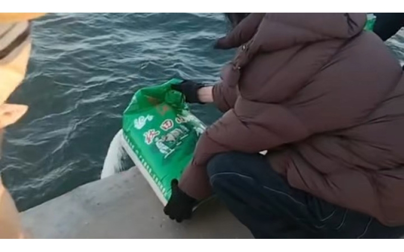 大学声丨海边&ldquo;放生大米&rdquo;：当善念沦为无常识的执念