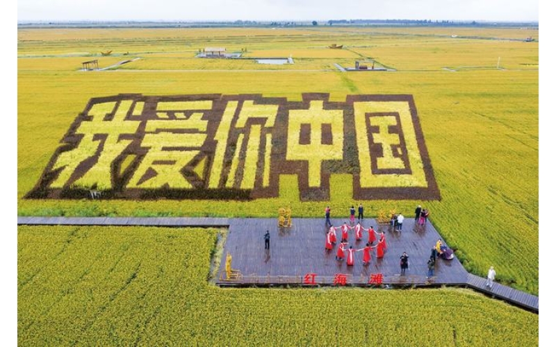 辽宁盘锦大米-东北大米的典型代表